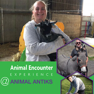 Animal Encounter Experience